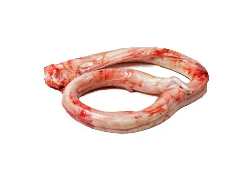 Meatex-beef-pizzle-1024x683